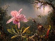 Martin Johnson Heade Cattleya Orchid and Three Brazilian Hummingbirds painting